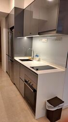 The Tre Ver (D13), Condominium #566672221